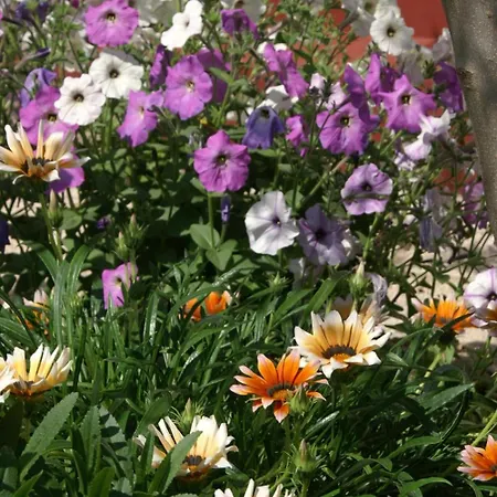 Family Friendly Seaside Povljana, Pag - 230