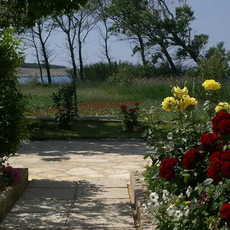 Family Friendly Seaside Povljana, Pag - 230