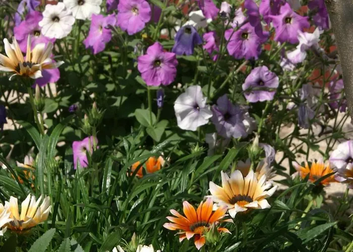 Family Friendly Seaside Povljana, Pag - 230